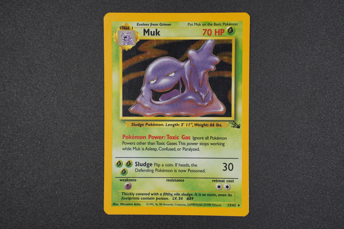 Fossil- Muk (Holo)